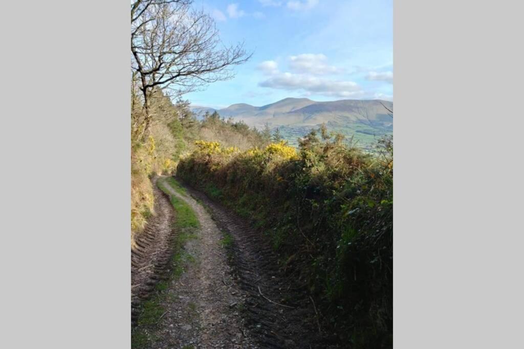 Lisvernane Corderry Farmhouse, Idyllic Cottage Amid 250 Acres מראה חיצוני תמונה